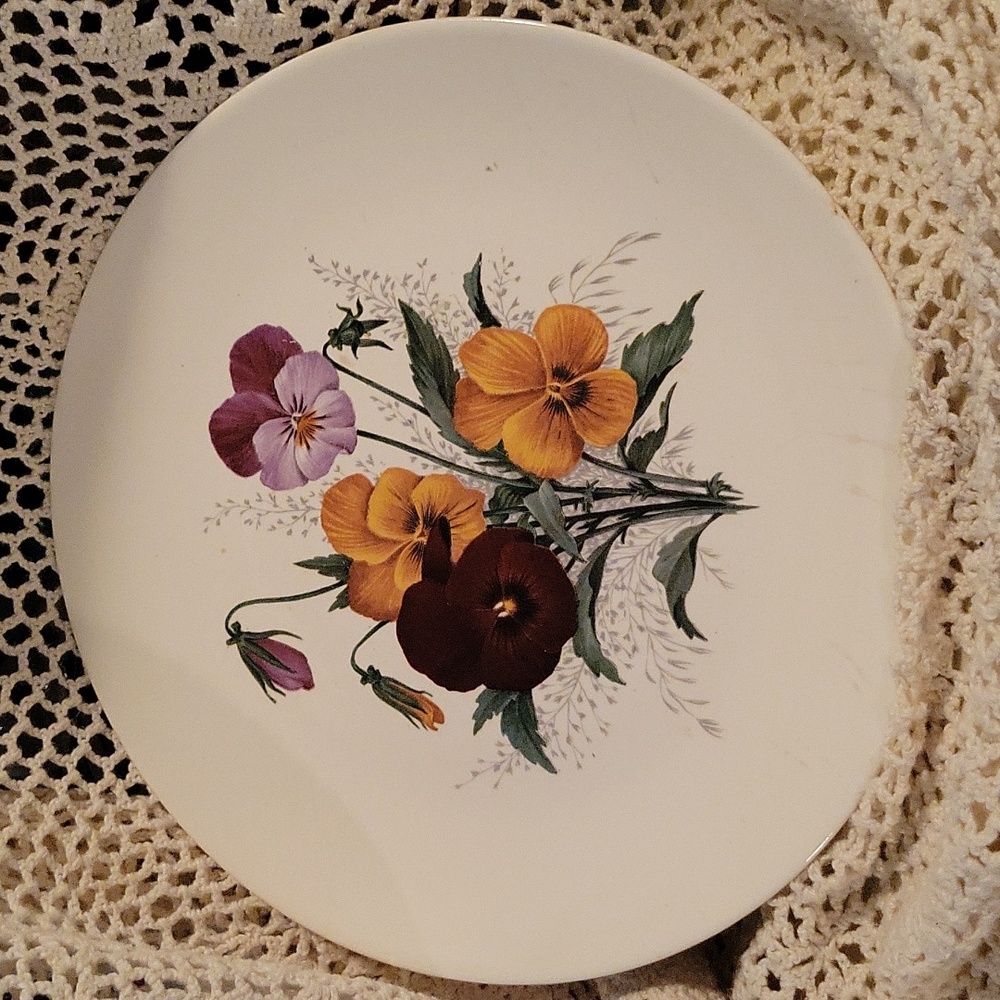 Sabin China pansy plate🌺